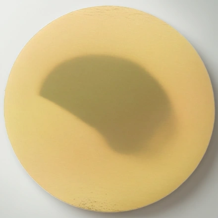 Подносы круг. (0,8 мм) Кондитер d-240 золото (100 шт.) — инфографика, вид №1