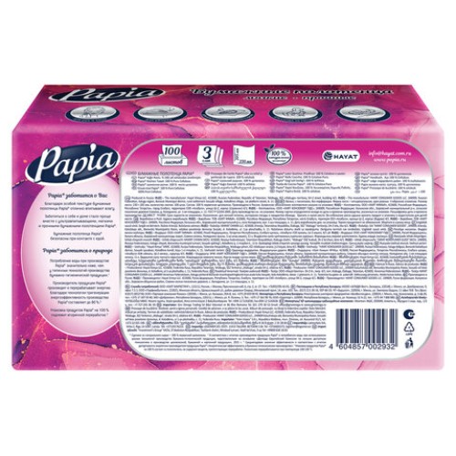 Полотенца бумажные (1 пачка – 100 листов), PAPIA (H3), UNIT PACK, 3-слойные, 23х20,5 см, V-сложение, 5090823 в Екатеринбург — Uralhoz.ru