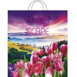 Пакет с петлевой ручкой ПНД 38х42 (40 мкм) Просторы (25/500 шт.) Интерпак