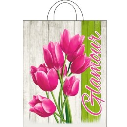 Пакет с петлевой ручкой ПВД 28х35 (55 мкм) Гармония (25/500 шт.) Интерпак