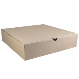 Коробка для пиццы 260х260х60 крафт МИКРО (50 шт.) Т11
