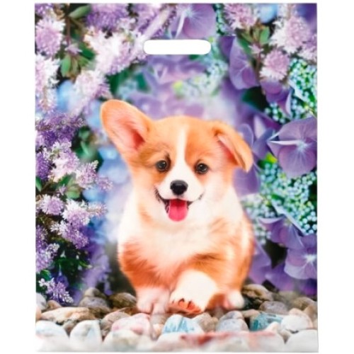 Пакет с прорубной ручкой ПВД 38х47 (60 мкм) Рыжик лам. (50/500 шт.) Интерпак в Екатеринбург — Uralhoz.ru