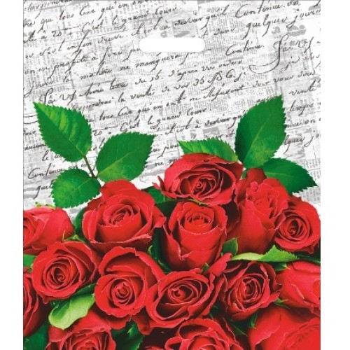 Пакет с прорубной ручкой ПВД 40х47 (45 мкм) Дневник (50/500 шт.) Интерпак в Екатеринбург — Uralhoz.ru