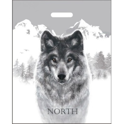 Пакет с прорубной ручкой ПВД 40х50 (80 мкм) Север (50/500 шт.) Интерпак в Екатеринбург — Uralhoz.ru