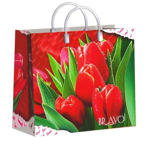 Пакет мягкий пластик 30х30 (150 мкм) Браво лам. (10/40 шт.) Интерпак в Екатеринбург — Uralhoz.ru