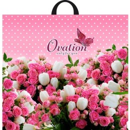 Пакет с петлевой ручкой ПВД 60х50 (70 мкм) Овация (25/250 шт.) Интерпак