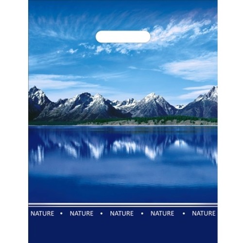 Пакет с прорубной ручкой ПВД 31х40 (60 мкм) Озеро лам. (50/500 шт.) Интерпак в Екатеринбург — Uralhoz.ru