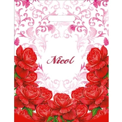 Пакет с прорубной ручкой ПВД 31х40 (60 мкм) Николь лам. (50/500 шт.) Интерпак в Екатеринбург — Uralhoz.ru