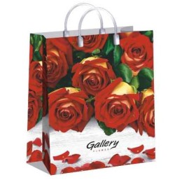 Пакет мягкий пластик 23х27 (150 мкм) Галерея лам. (10/40 шт.) Интерпак