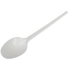 Ложка одноразовая 165 мм столовая (ИнтроПластик) (100/2500 шт.) в Екатеринбург — Uralhoz.ru