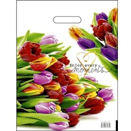 Пакет с прорубной ручкой ПВД 31х40 (60 мкм) Этюд лам. (50/500 шт.) Интерпак