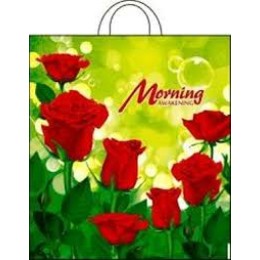 Пакет с петлевой ручкой ПНД 38х42 (40 мкм) Утро (25/500 шт.) Интерпак