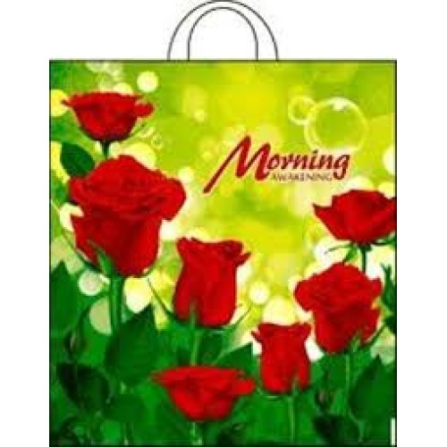 Пакет с петлевой ручкой ПНД 38х42 (40 мкм) Утро (25/500 шт.) Интерпак в Екатеринбург — Uralhoz.ru