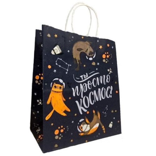 Пакет бумажный с кручеными ручками 220х120х250 100 г с печатью Ты просто космос (25/250 шт.) в Екатеринбург — Uralhoz.ru