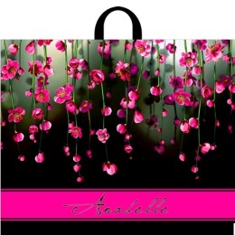 Пакет с петлевой ручкой ПВД 60х50 (70 мкм) Анабель (25/250 шт.) Интерпак