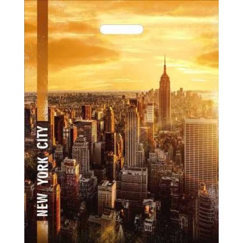 Пакет с прорубной ручкой ПВД 40х50 (80 мкм) Башни (50/500 шт.) Интерпак в Екатеринбург — Uralhoz.ru