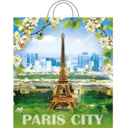 Пакет с петлевой ручкой ПНД 38х42 (40 мкм) Цветущий город (25/500 шт.) Интерпак