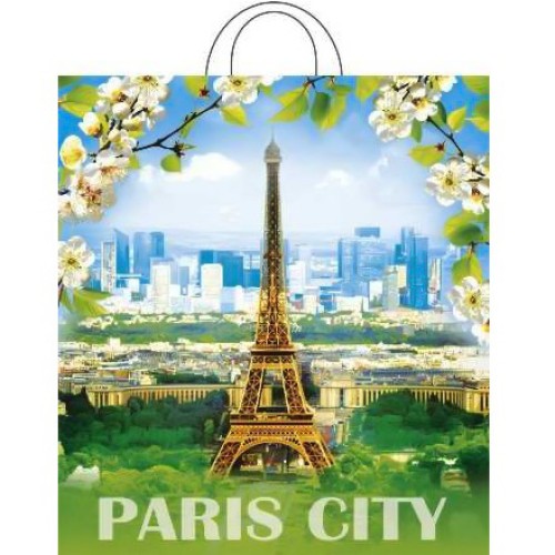 Пакет с петлевой ручкой ПНД 38х42 (40 мкм) Цветущий город (25/500 шт.) Интерпак в Екатеринбург — Uralhoz.ru