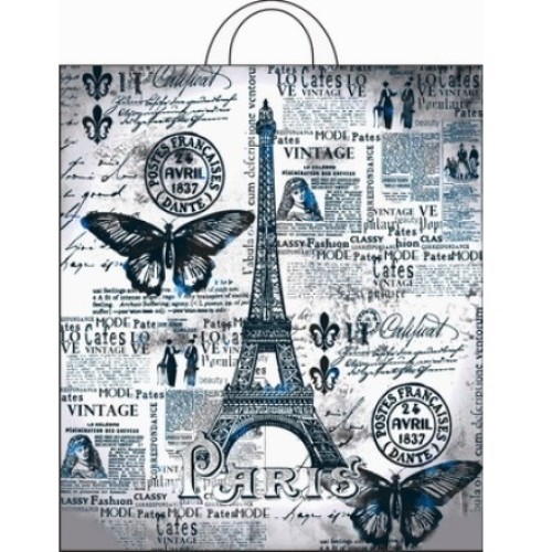 Пакет с петлевой ручкой ПНД 38х42 (40 мкм) Парижский день (25/500 шт.) Интерпак в Екатеринбург — Uralhoz.ru