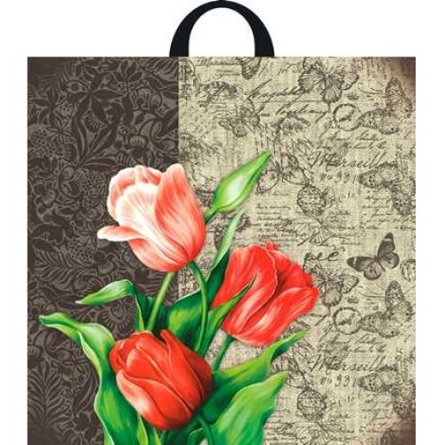 Пакет с петлевой ручкой ПВД 44х44 (70 мкм) Эстер (25/250 шт.) Интерпак АКЦИЯ в Екатеринбург — Uralhoz.ru