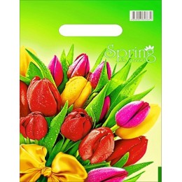 Пакет с прорубной ручкой ПВД 20х30 (30 мкм) Весна (100/2000 шт.) Интерпак