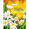 Пакет с прорубной ручкой ПВД 31х40 (60 мкм) Очарование лам. (50/500 шт.) Интерпак в Екатеринбург — Uralhoz.ru