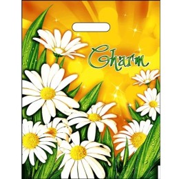 Пакет с прорубной ручкой ПВД 31х40 (60 мкм) Очарование лам. (50/500 шт.) Интерпак