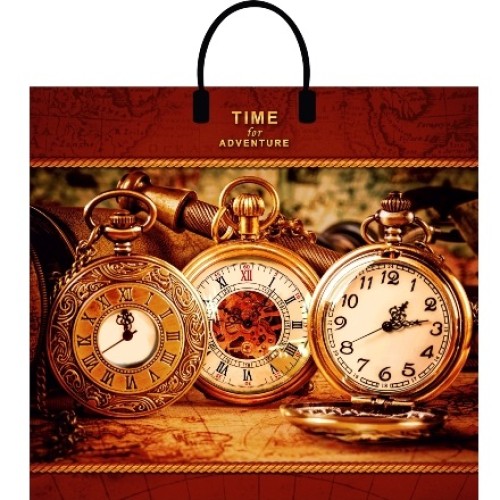 Пакет с пластиковой ручкой ПВД 38х35 (90 мкм) Время приключений лам. (10/100 шт.) Интерпак в Екатеринбург — Uralhoz.ru