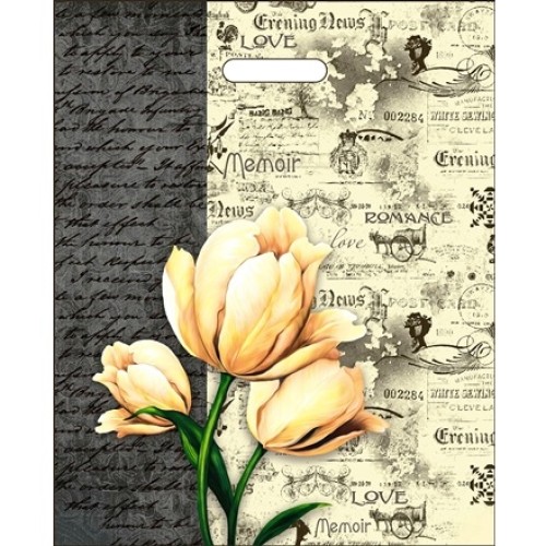 Пакет с прорубной ручкой ПВД 38х47 (60 мкм) Мемуары лам. (50/500 шт.) Интерпак АКЦИЯ в Екатеринбург — Uralhoz.ru