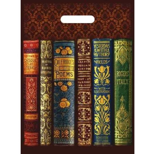 Пакет с прорубной ручкой ПВД 30х40 (50 мкм) Книги (50/1000 шт.) Интерпак в Екатеринбург — Uralhoz.ru