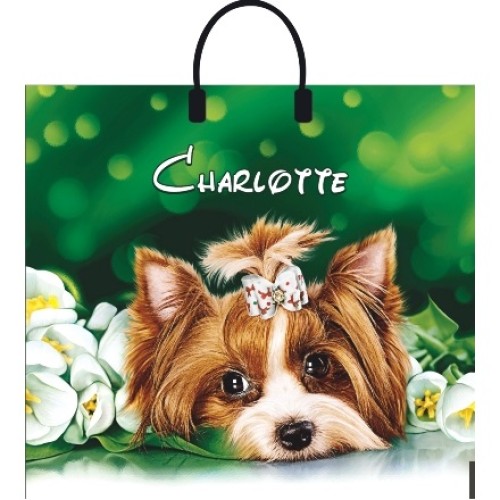 Пакет с пластиковой ручкой ПВД 38х35 (90 мкм) Шарлотта сумка лам. (10/100 шт.) Интерпак в Екатеринбург — Uralhoz.ru