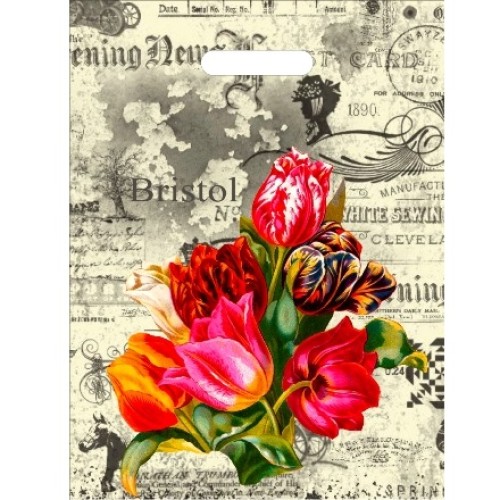 Пакет с прорубной ручкой ПВД 30х40 (35 мкм) Бристоль (50/1000 шт.) Интерпак в Екатеринбург — Uralhoz.ru