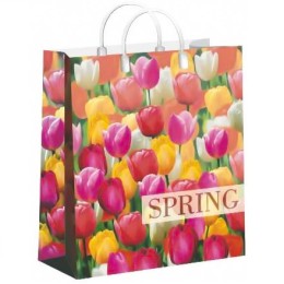 Пакет мягкий пластик 23х27 (150 мкм) Пора тюльпанов лам. (10/40 шт.) Интерпак
