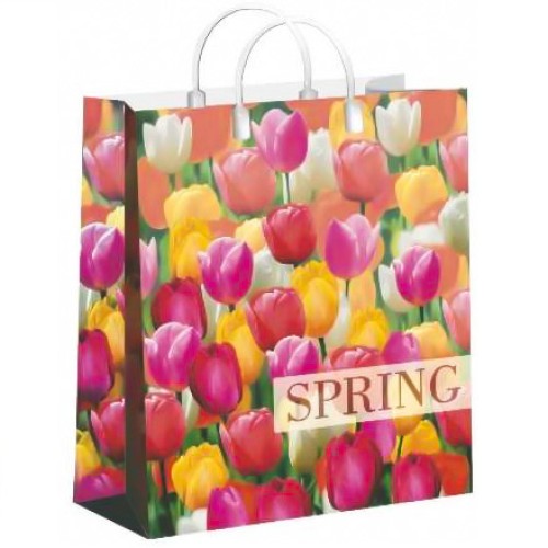 Пакет мягкий пластик 23х27 (150 мкм) Пора тюльпанов лам. (10/40 шт.) Интерпак в Екатеринбург — Uralhoz.ru
