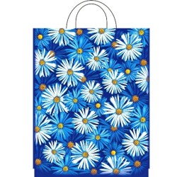 Пакет с петлевой ручкой ПВД 28х35 (55 мкм) Пробуждение (25/500 шт.) Интерпак