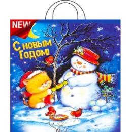 Пакет с петлевой ручкой ПНД 38х42 (40 мкм) Вечерок (25/500 шт.) Интерпак